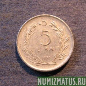 Монета 5 лир, 1981, Турция