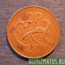 Монета 2 пенса, 1971-1988, Ирландия
