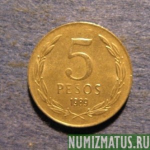 Монета 5 песо, 1988-1990, Чили
