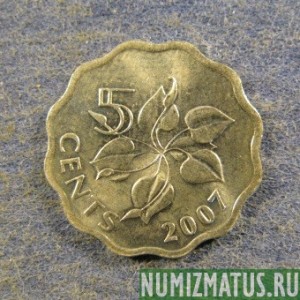 Монета 5 центов, 2001-2009, Свазиленд