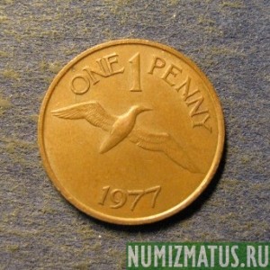 Монета 1 пенни, 1977-1981, Гернси