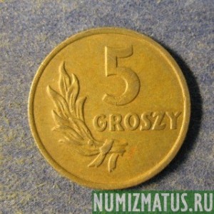 Монета 5  грошей, 1949, Польша (бронза)