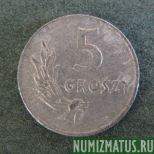 Монета 5  грошей, 1949, Польша (алюминий)