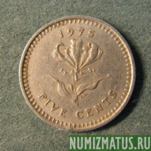 Монета 5 центов, 1975-1977 ,  Родезия