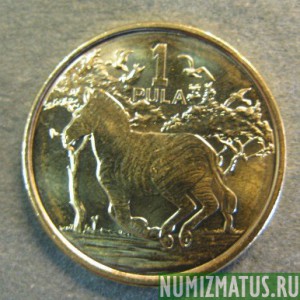 Монета 1 пула, 2013, Ботсвана