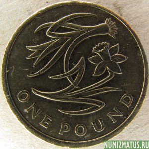 Монета 1 фунт, 2013, Великобритания