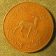 Монета 5 дирхамов, 1966, Катар и Дубай