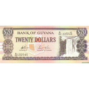 Бона  20 долларов, Гайана